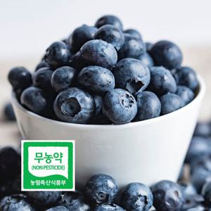 무농약 블루베리 생과 특 1kg 국내산 담양 삼인산 당일수확 산지직송 초신선 친환경