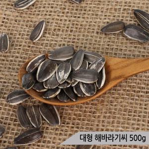건강알곡 대형 해바라기씨 500g 앵무새 햄스터 간식