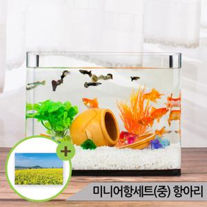 미니어항세트(중) 항아리장식 유리어항 수족관세트