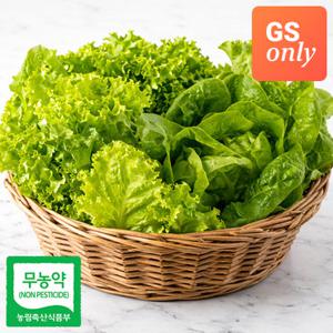 [GS단독]무농약 프리미엄 수경재배 유러피안 샐러드 채소 3종 800g (버터헤드,카이피라,이자벨)