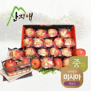 [TV상품]산지애 블랙라벨 더초이스 사과 3kg (3kg*1박스, 총 13~14과/중과)