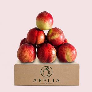 [로열과로만] 애플리아 26년 햇 신비복숭아 로열과 1kg( 7∼12과)