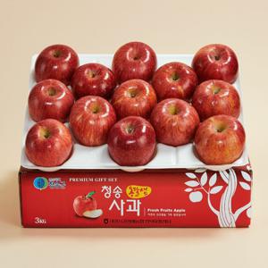 농협직송 청송 꿀사과 부사 가정용 3kg 12∼15과