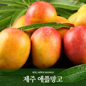 제주산 애플망고 2kg x 1박스(4∼7과)
