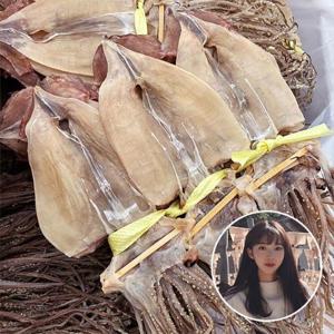 [물맛남] 영덕직송 마른오징어 10미 400g내외(소)