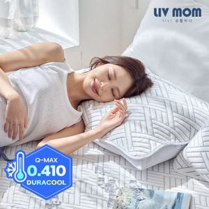 리브맘 매일 바꿔쓰는 듀라쿨 아이스냉감 베개커버 50x70