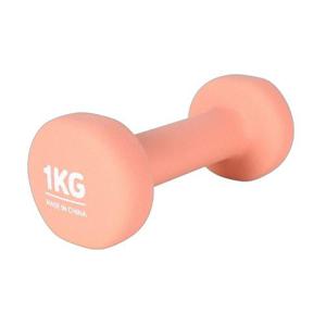 팔운동기구 미니 홈트 가정용 헬스 여자 네오프렌 아령 덤벨 1KG