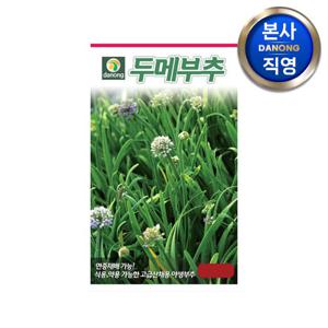 두메 부추 씨앗 100립 . 야채 채소 텃밭 파종 재배 주말 농장 씨 종자.