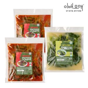 이배모매 김치장인 여수 돌산 갓김치 3kg(양념/물)