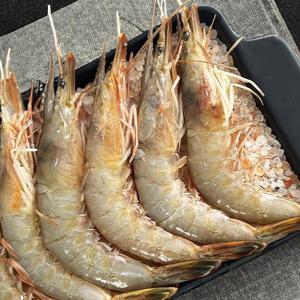 자연산 대하 새우 500g 10-15미 급냉 대하 새우 냉동 대하 새우 대하 주문