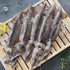 냉동 손질 오징어 2미입 320g 선동오징어 급냉오징어 원양 오징어 수입 냉