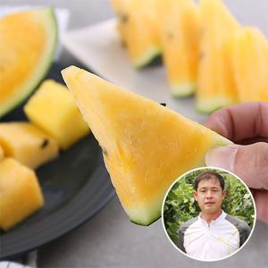 [산지장터]충남 부여 정용규님의 블랙보스 망고수박 3kg이상 1통