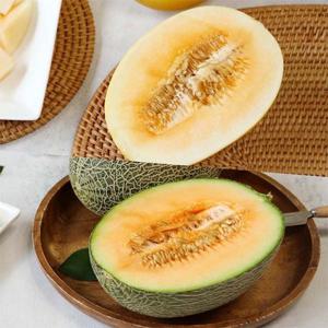 산지직송 메론 2종세트 3kg (2-5과/골드하미과+그린하미과)