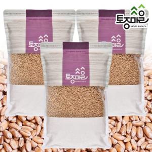 [토종마을]캐나다산 귀리1kg X 3팩(3kg)_곡물_잡곡_양곡_쌀_곡류_통곡물_귀리쌀