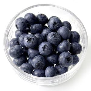 무농약 영동블루베리 생과 특대 1kg(16mm 이상)