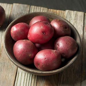 1년딱2달 포슬포슬 카스테라 홍감자 3.3kg (대/15개내외)