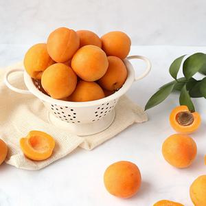 부드러운 과즙팡팡 노지 살구 특 2kg(34과 내외)