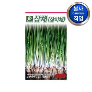삼채 씨앗 100립 . 야채 채소 텃밭 파종 재배 주말 농장 씨 종자.