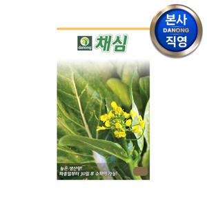 채심 씨앗 5g . 야채 채소 텃밭 파종 재배 주말 농장 씨 종자.