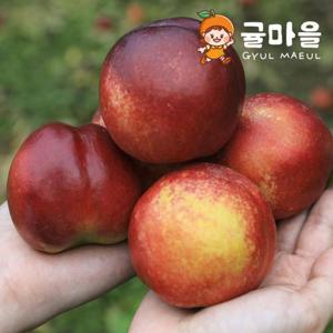 귤마을 국내산 천도복숭아 5kg 중대과
