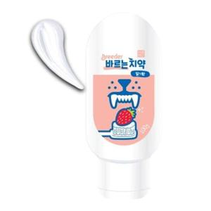 강아지 바르는 치약 딸기향 100g 1P 양치 치석관리 (WFJCYPF)