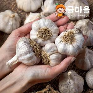 귤마을 국내산 황토밭 통마늘 2kg내외 특-대