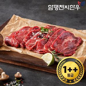 [함평축협] 함평천지한우 부채살 600g(1++등급)