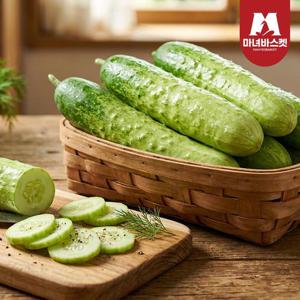 [마녀바스켓] 산지직송 국내산 수분가득 다다기오이 백오이 1kg (4-6개 내외)