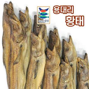 [케이쇼핑]용대리 통황태 특왕10미(마리당 49-51cm)