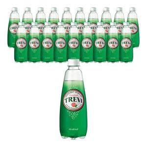 트레비 자몽 300ml X 20펫