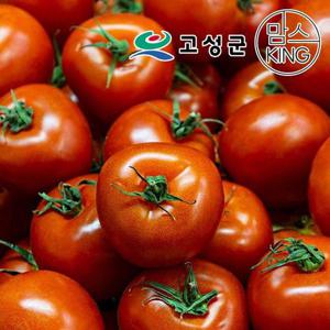 갤러리아_[공룡나라]영글농원 완숙토마토 5kg(25-30과 내외)