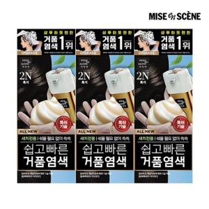 미쟝센 올뉴 쉽고빠른 거품염색 80G 3입