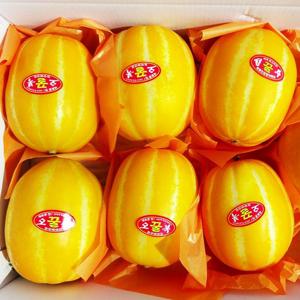 [산지직송] 제철과일 성주 참외 3kg(9-13과)
