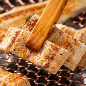 [대한민국농수산] 일품 민물장어 비콜라 장어  1kg(손질후 600g)