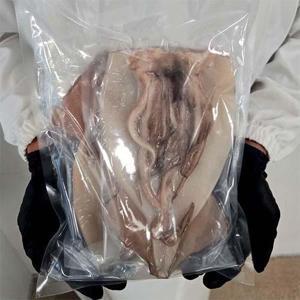 두툼한 손질 오징어 특대 4미 800g-900g (볶음소스 증정)