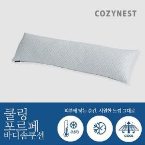 갤러리아_쿨링 포르페 냉감 시원한 바디솜쿠션 30X100