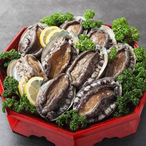 완도 활 전복 1kg 13-15미 /중복 / 산소팩포장