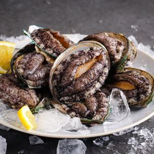 완도,진도 산지직송 활전복 1kg 5-6마리 산소포장