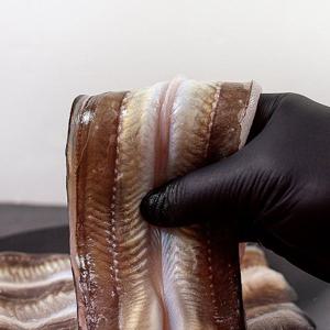 [해동찬가] 통영산 자연산 바다장어 1kg(대)