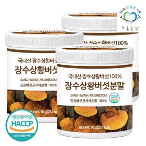 [푸른들판] 국내산 장수 상황 버섯 분말 가루 70gx3통 목질진흙버섯 상목이버섯 차