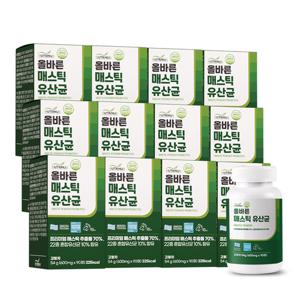 뉴트리너스 올바른 매스틱 유산균 (600mg x 90정) 12통