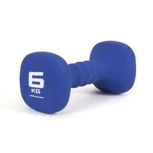 네오프렌 사각아령 6KG 근력운동 덤벨 헬스 바벨