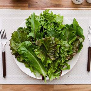 [자연맛남] GAP인증 농협선별 모듬 쌈채소 1kg