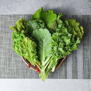 [푸드맛봄 쌈채소] 경기도 광주 유기농 쌈채소 1kg 모듬쌈채소