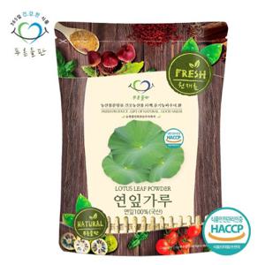 [푸른들판] 국산 연잎 100% 가루 분말 500gx1봉 연입 차 하엽 생연잎 연꽃잎 파우더 HACCP 인증