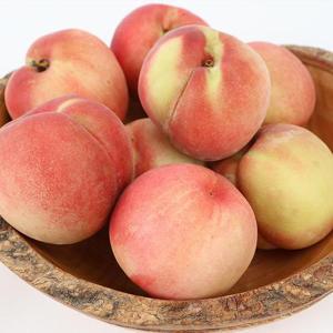 경상북도 아삭아삭 딱딱이 복숭아 2kg 중