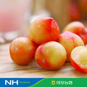 [26년 햇자두]김천 대석 자두 4팩 (팩당 750g, 총 3kg)