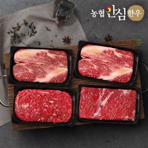 갤러리아_[농협안심한우] 1등급 구이정육 1호 선물세트1.2kg (등심+등심+