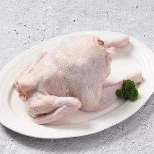 [두메산골] 냉장 토종닭 1.3kg내외