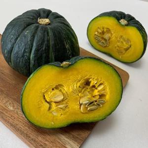 제주 미니 밤호박 단호박 소과 5kg